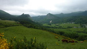 Auvergne, France | Montagne et vaches
